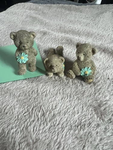 Collective little bear - collective,