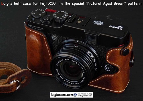 Luigi case for fuji - luigi,