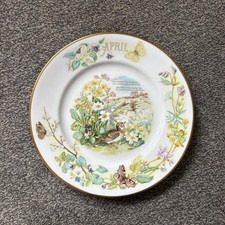Caverswall China 27cm Plate -