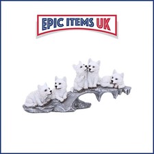 Nemesis Now Winter Litter