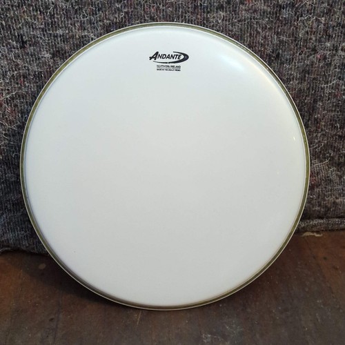 Used andante branded remo - used,
