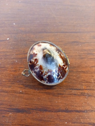 Vintage clam shell brass hinge - brass,