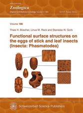 Functional surface structures