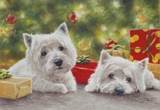 West Highland Westie Terrier