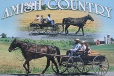 Amish Country Postcards - Americana - Schools Seasons Quilt Farming Choose One