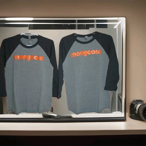 Mongoose raglan tshirt lot - raglan, of