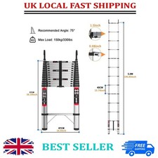 5M Stainless Steel Ladder