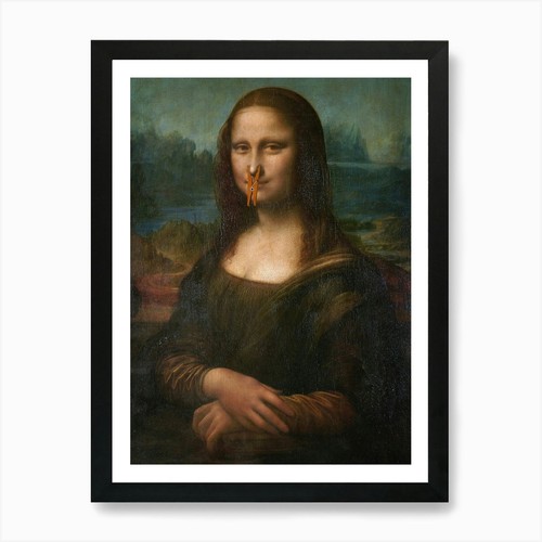 Mona lisa funny bathroom - funny,