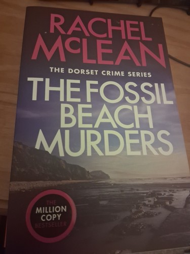 Rachel mclean the fossil beach - the,