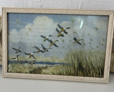 Taking To Wing by Peter Scott