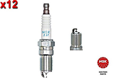 12x spark plug - spark, ngk