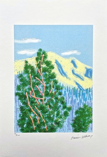 David hockney the - -, yosemite