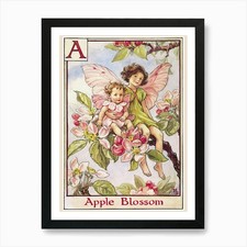 The apple blossom - the,