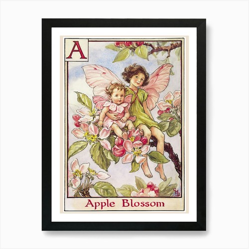 The apple blossom - apple,