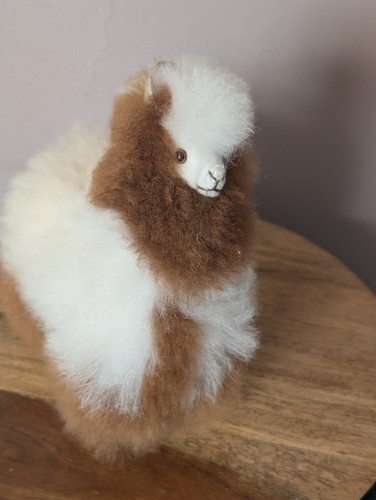 Iinjoi alpaca soft - iinjoi,