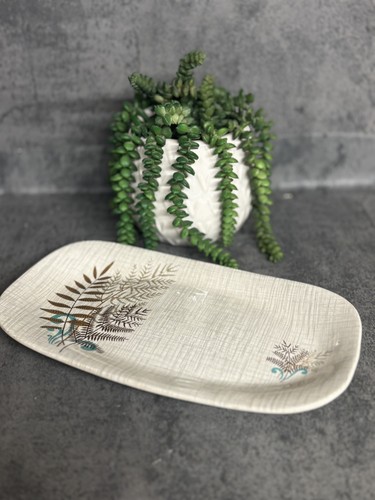 Meakin rock fern sol meat - g,