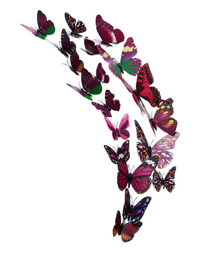 12pcs butterfly fridge - 3d,