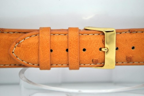 Genuine ostrich leather - leather, watch