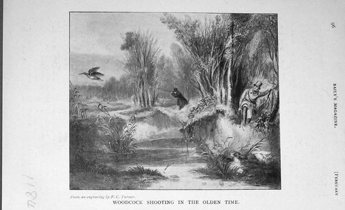Original old antique print - original,
