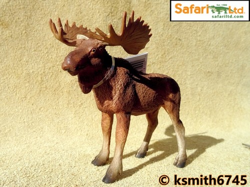 Safari ltd bull moose - safari, plastic