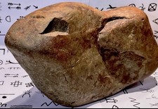 Native American Indian