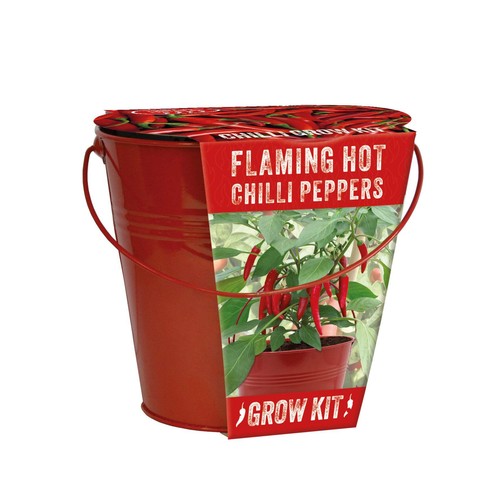 Grow your own - red, chilli