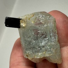 Aquamarine Beryl Crystal With Schorl Tourmaline Pakistan Gem Mineral Specimen