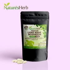 Lions Mane Extract Mushroom