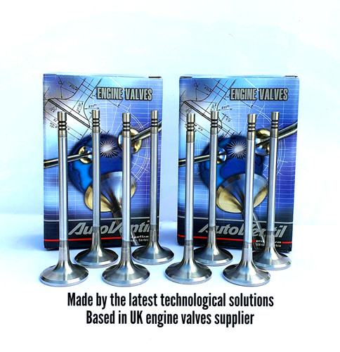 Inlet fit insignia - 8,