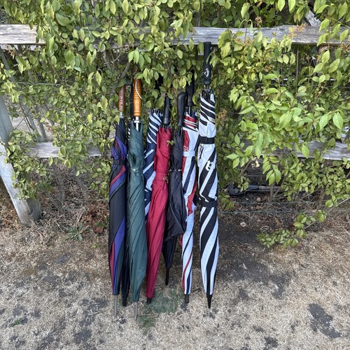 Job lot golf umbrella - of,