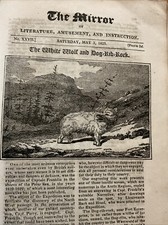 Antique Print 1823 The White Wolf And Dog Rib Tick - Franklin POLAR EXPLORATION