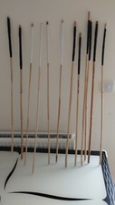 Mixed Sets of Flexible and Firm Punishment Canes