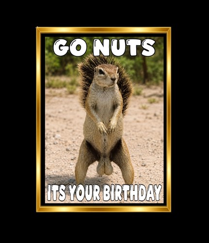 Birthday card funny rude joke - birthday,