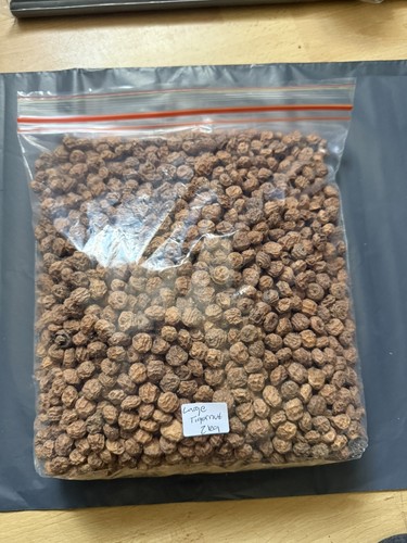 Large tiger nuts 2kg carp - nuts,