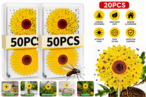20pcs window fly - window, traps
