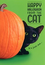 Funny HAPPY HALLOWEEN FROM THE CAT Card, Black Cat Hiding Pumpkin by Hallmark +✉