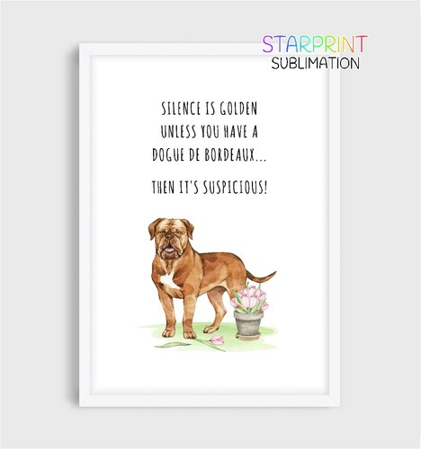 Dogue bordeaux picture - dogue,