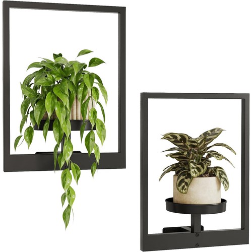 Wall plant holder sturdy - 2x,