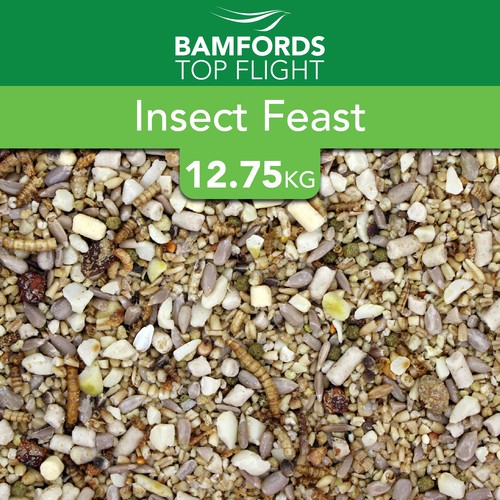 Bamfords insect feast with - insect,