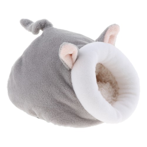 Chinchilla guinea pig ferret - chinchilla,