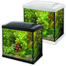 Superfish start tropical - superfish,