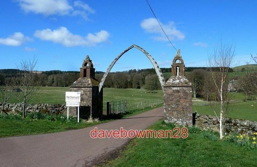 Photo netherurd whalebone - ,