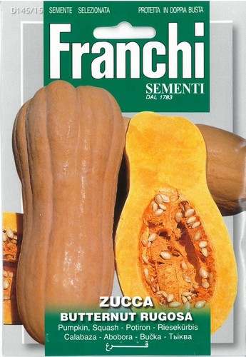 Franchi seeds pumpkin - franchi,