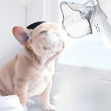 Facial Steamer Spa Pores Nose