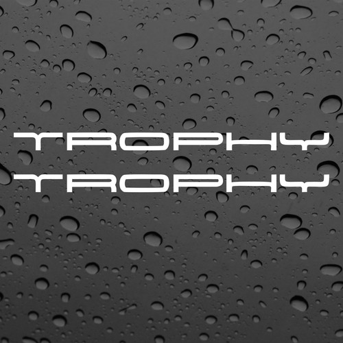 Renault trophy pair - renault,
