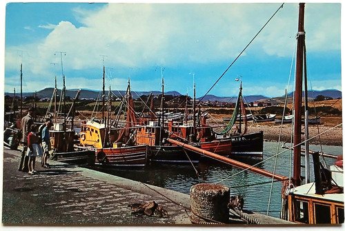 Fishing boats kilkeel harbour - fishing,