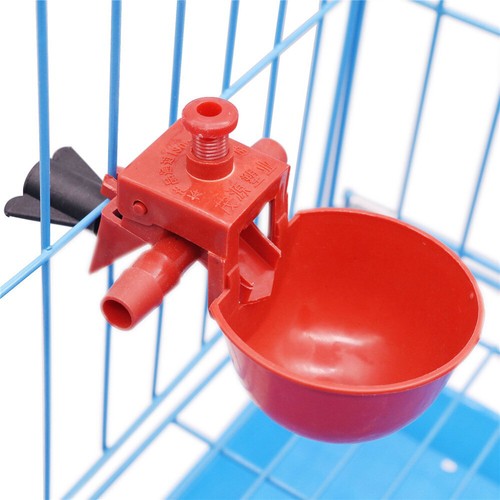 Automatic water cups poultry - automatic,