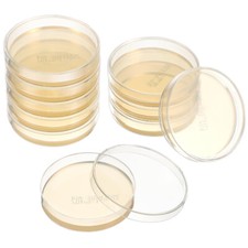10 Pcs Petri Dishes with Agar
