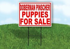 Doberman Pinscher PUPPIES FOR