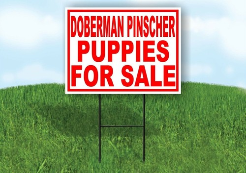 Doberman pinscher puppies for - puppies,